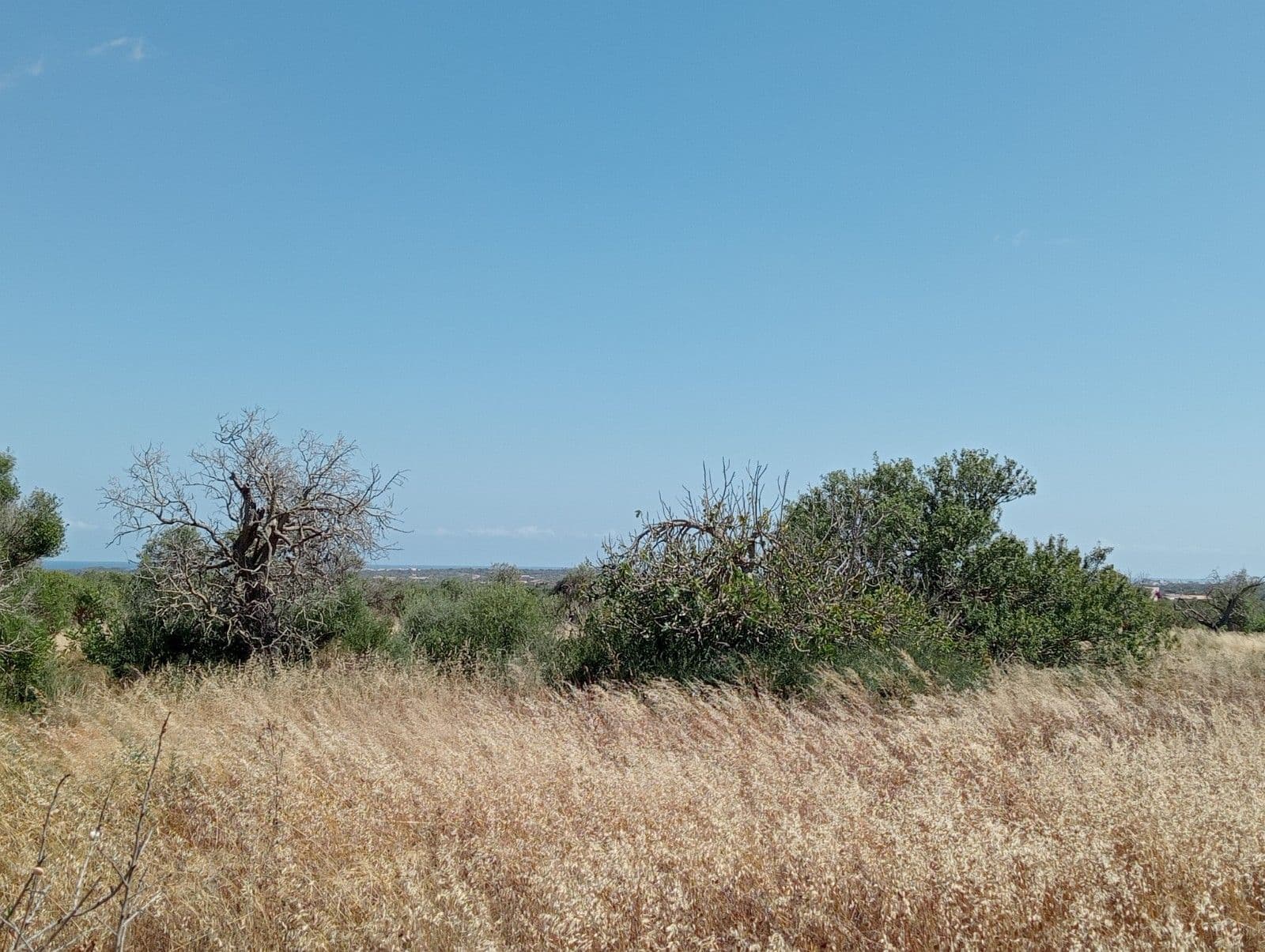 Fantastisches Grundstück mit Pojeckt und mit Meerblick in d – foto 4
