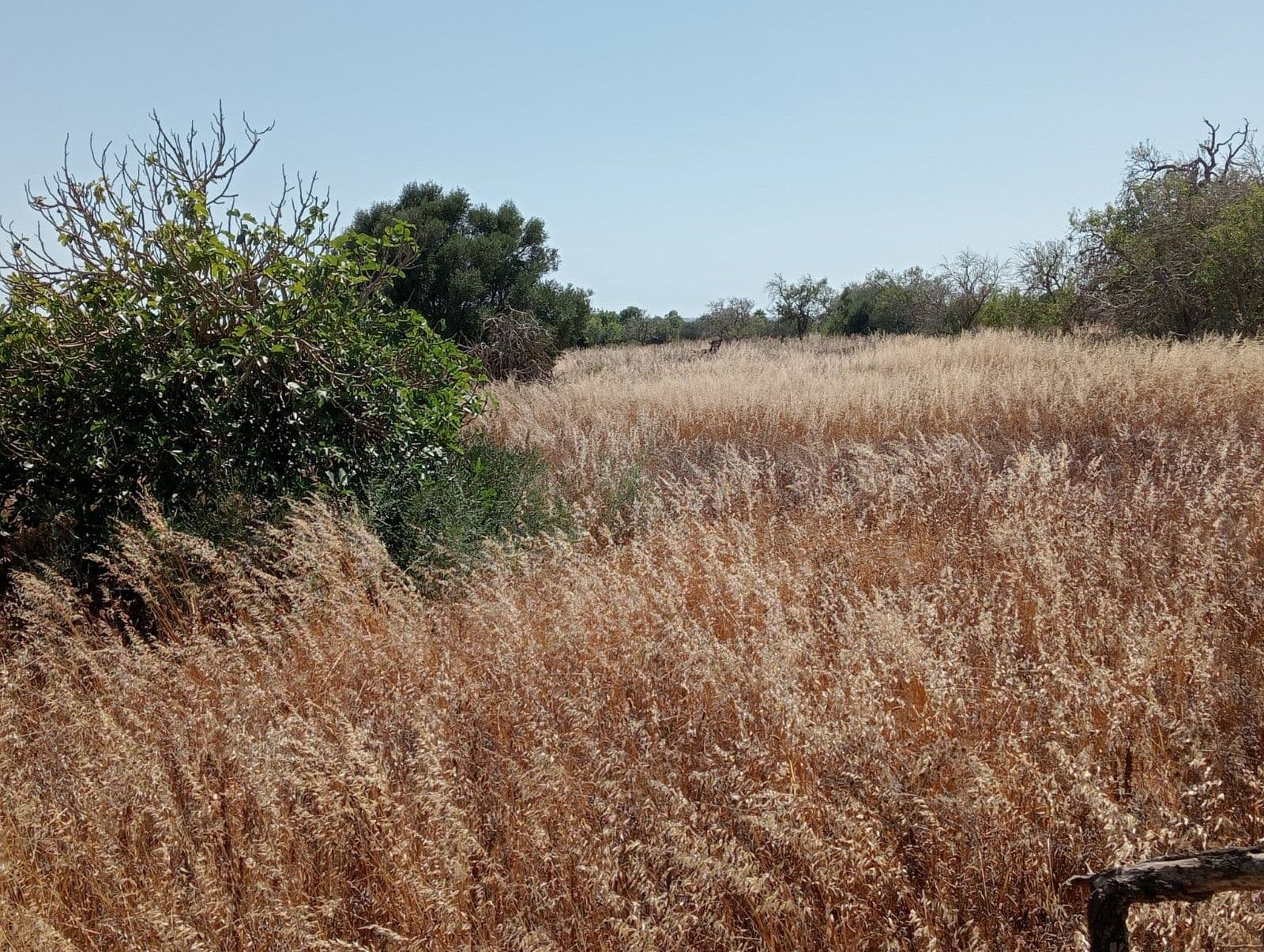 Fantastisches Grundstück mit Pojeckt und mit Meerblick in d – foto 5