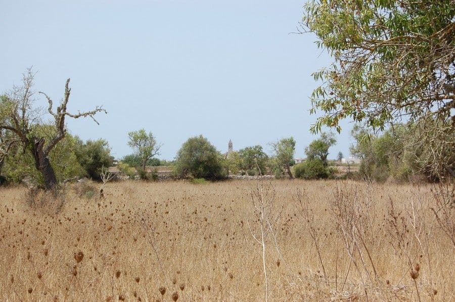 Landgrundstück ausserhalb von Santanyí – foto 3