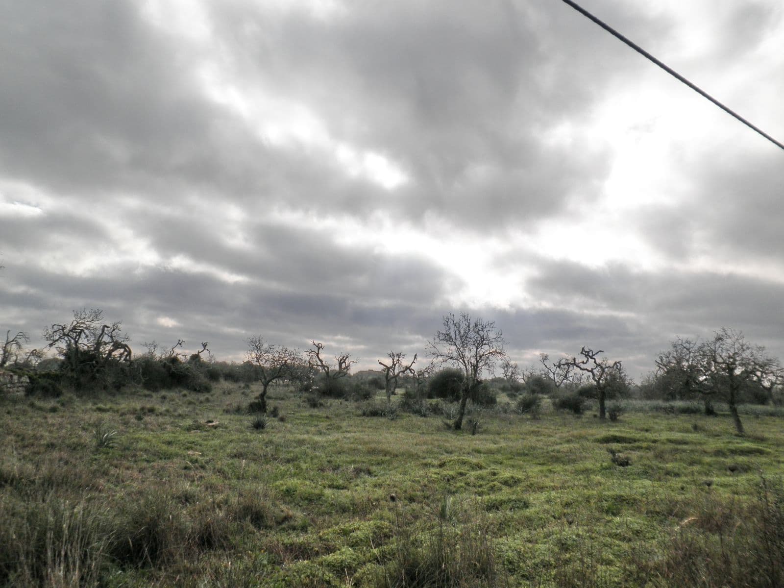 Grundstuck bei Santanyi – foto principal