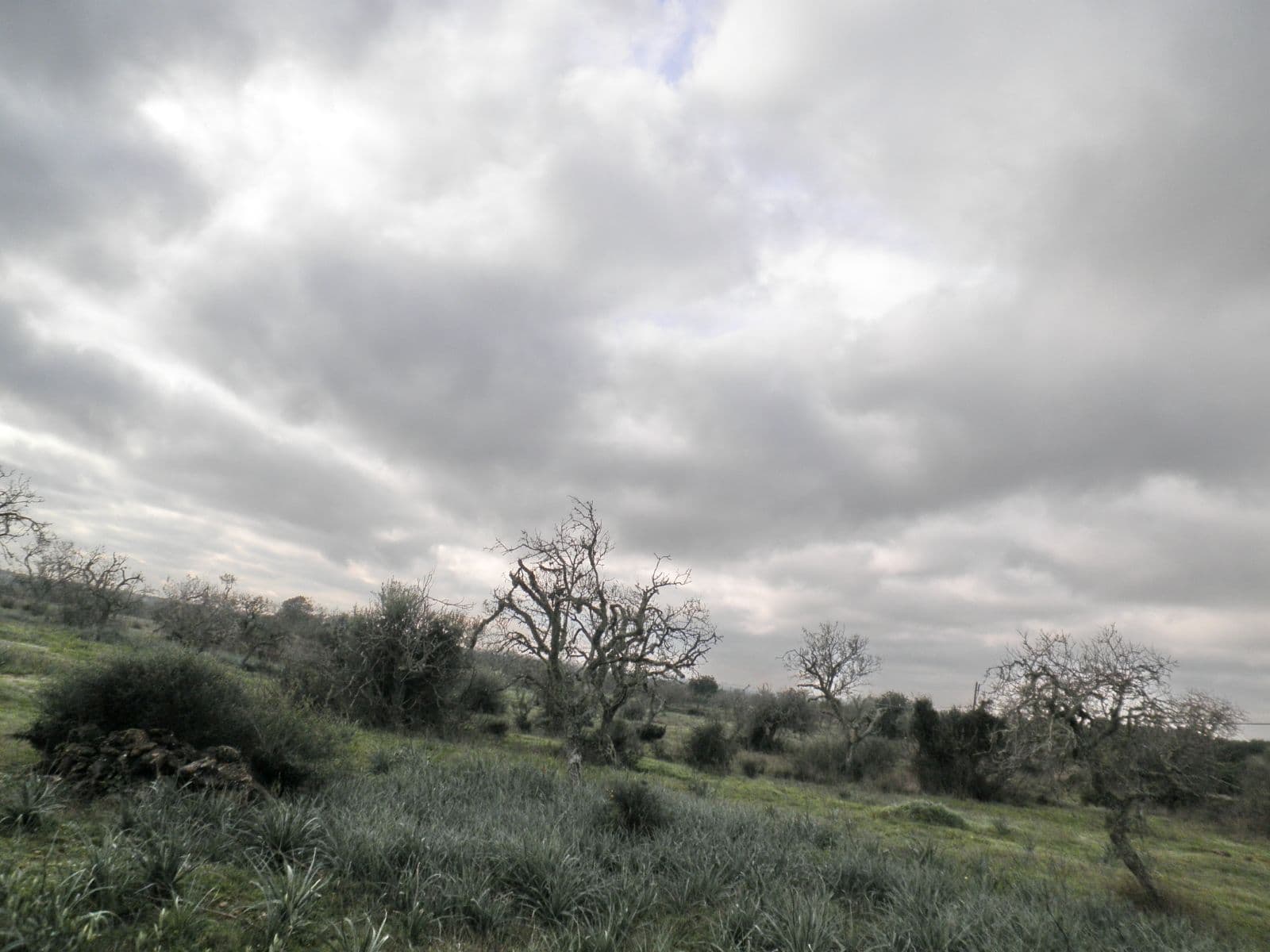 Grundstuck bei Santanyi – foto 3