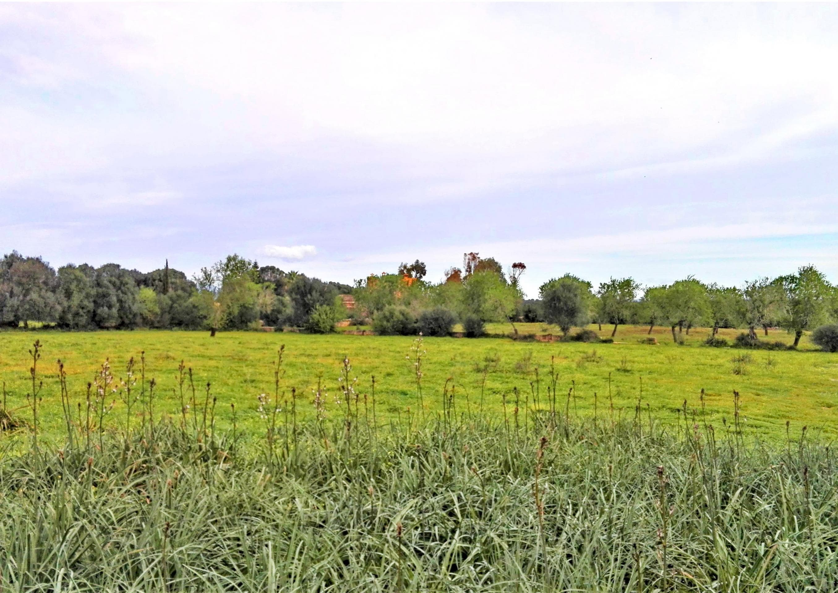 Land in einer sehr ruhigen Gegend zwischen Campos und Cas Co
