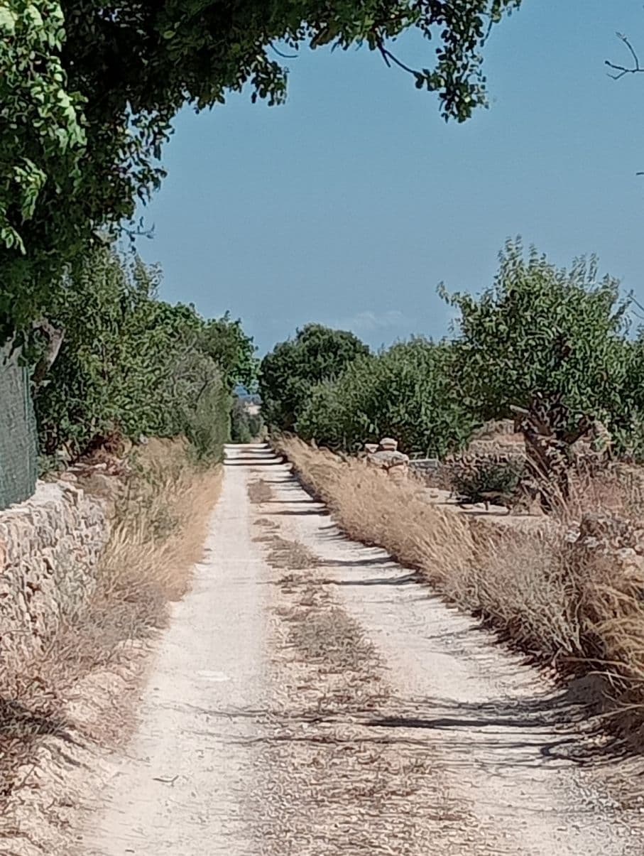 Fantastisches Grundstück mit Pojeckt und mit Meerblick in d – foto 2