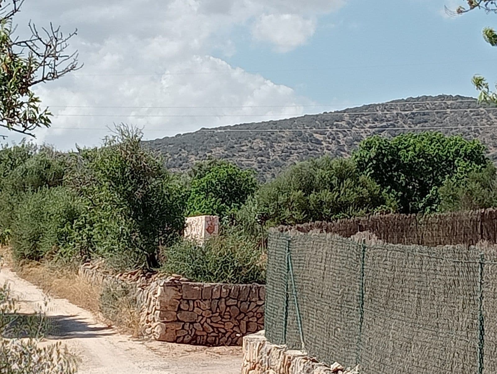 Fantastisches Grundstück mit Pojeckt und mit Meerblick in d – foto 3