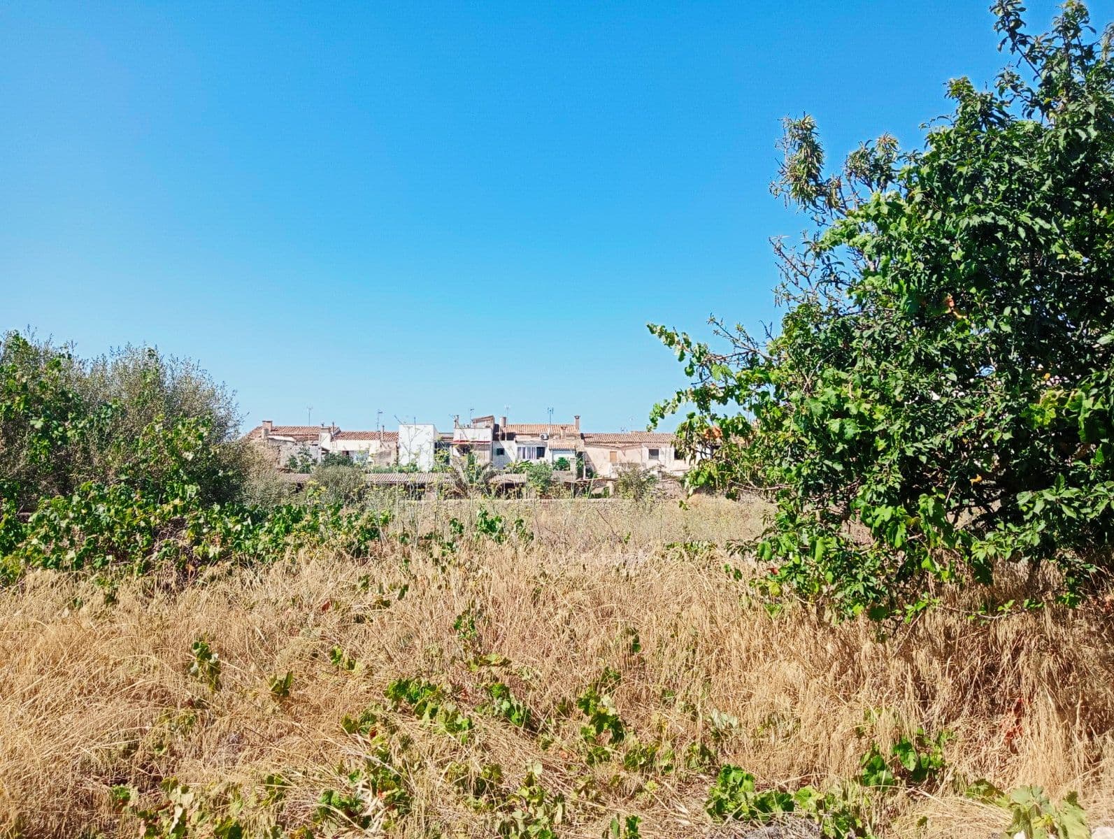 Solar urbano en Santanyí – foto 3