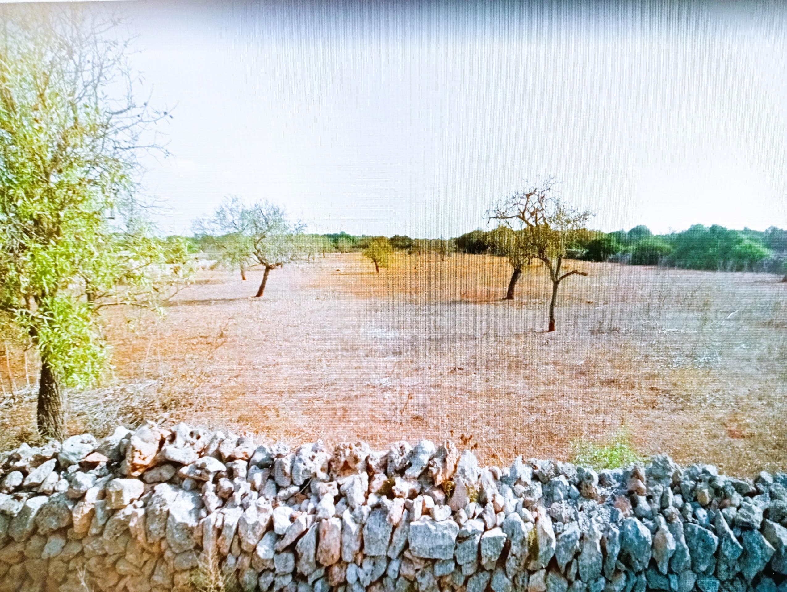 Luxuriöser Landhaus Neubau mit Pool zum Erstbezug