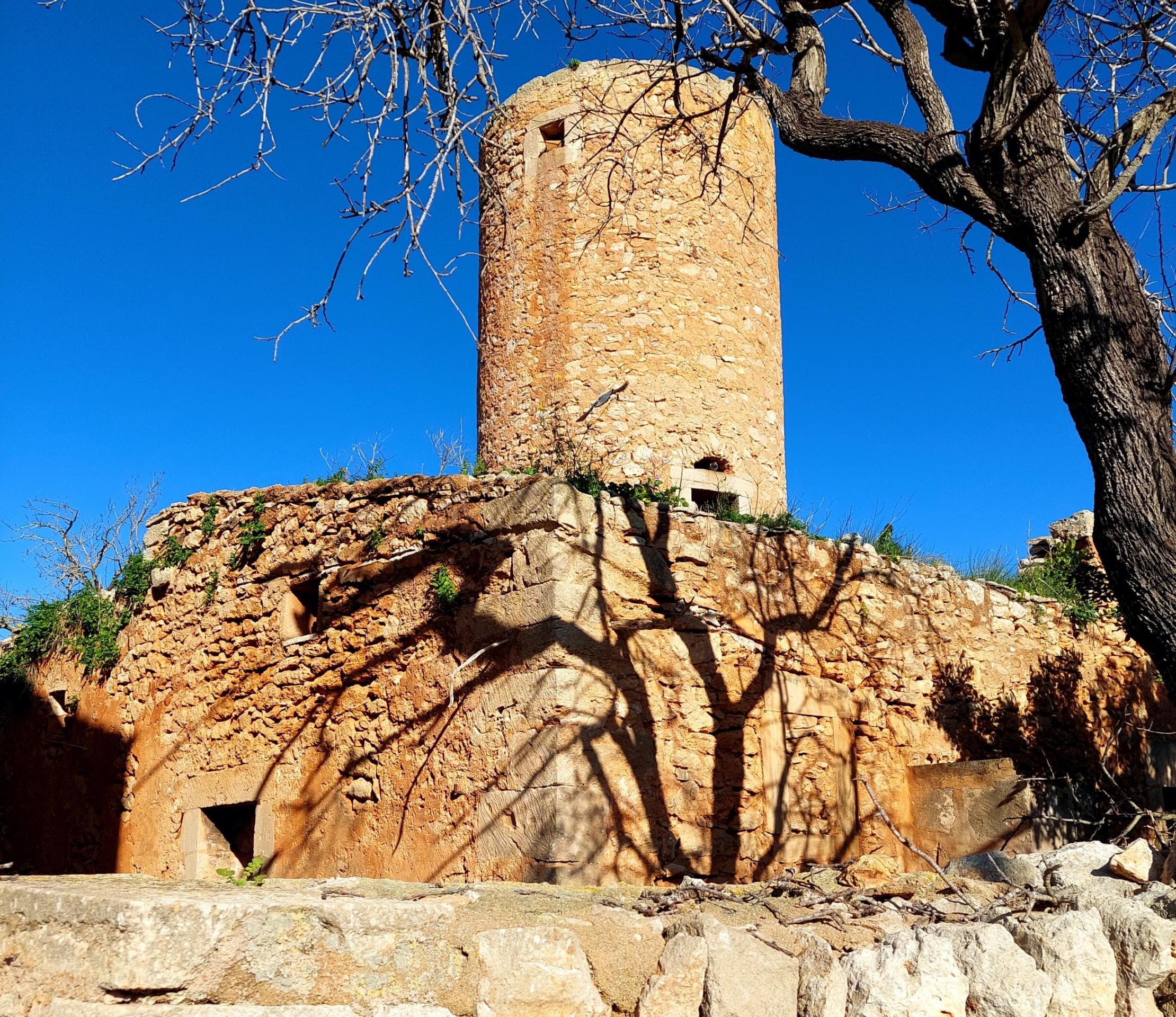 Schöne Mühle in Santanyí zu restaurieren – foto 2