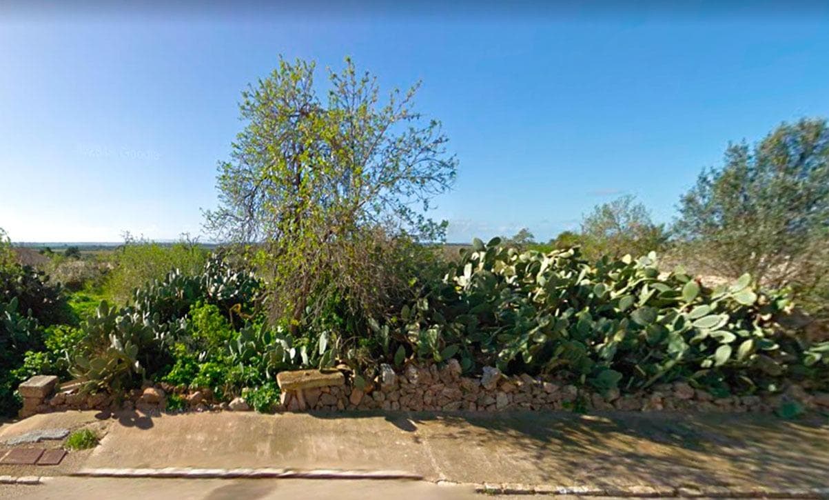 Gran Solar urbano en Ses salines con vista al mar en la lejanía – foto principal