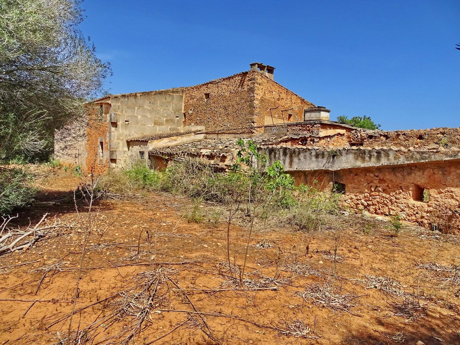 Grande finca rustique entre Cas Concos et Campos à restaure – foto 2