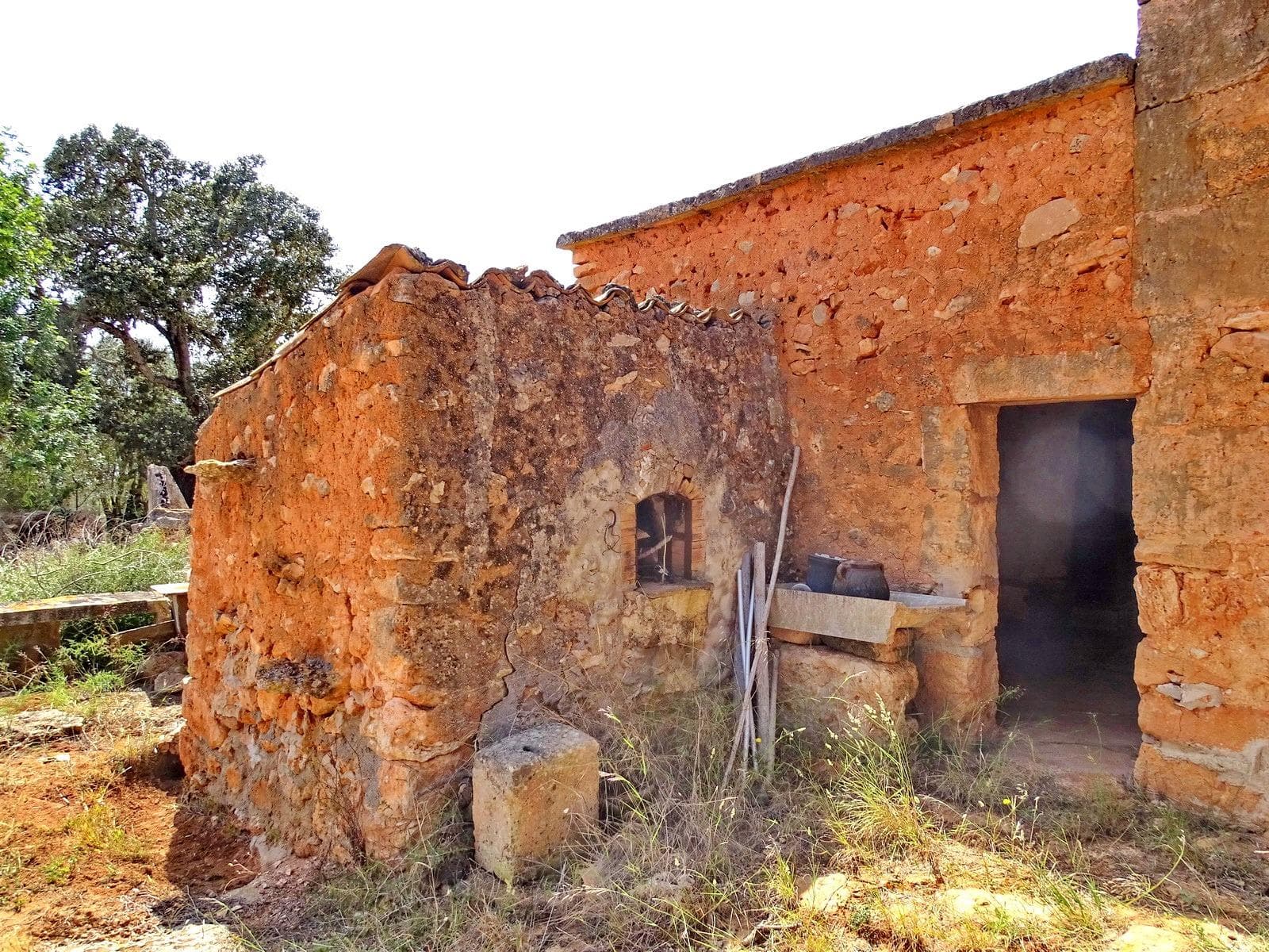 Grande finca rustique entre Cas Concos et Campos à restaure – foto 4