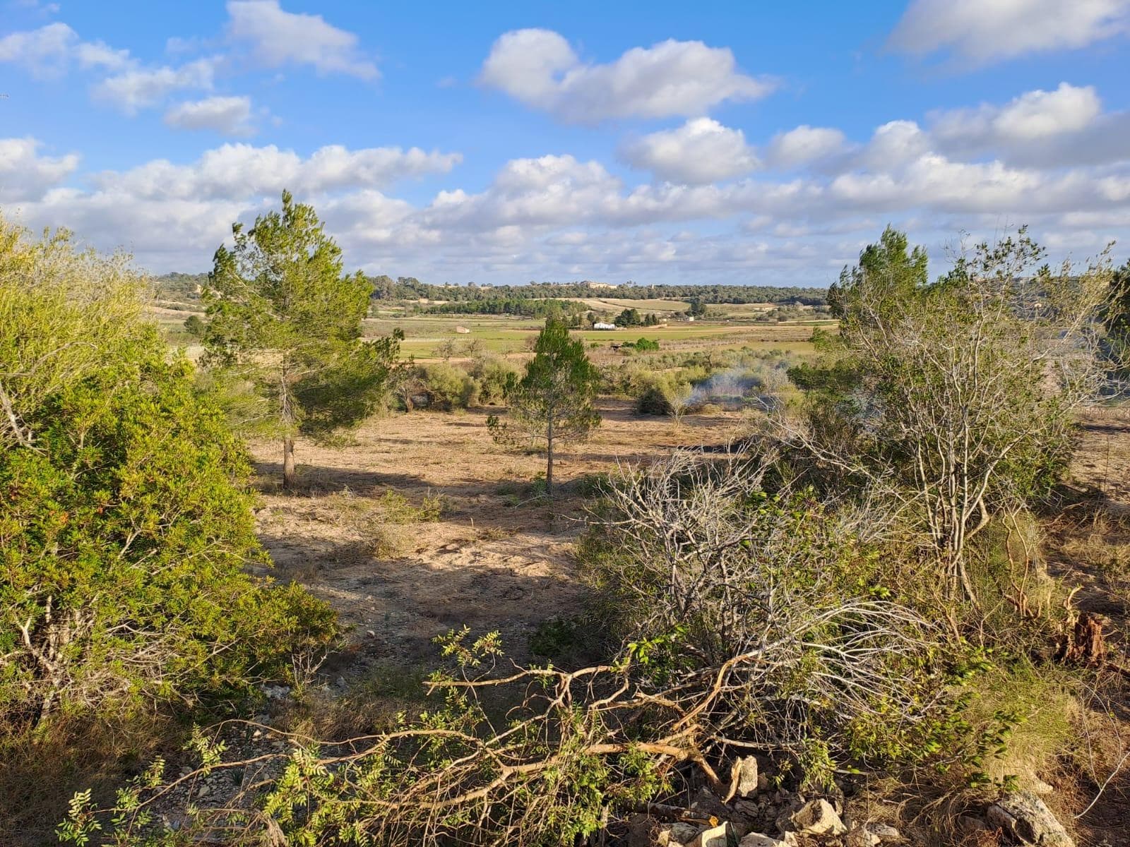Spektakuläres Grundstück in der Nähe von Porreres