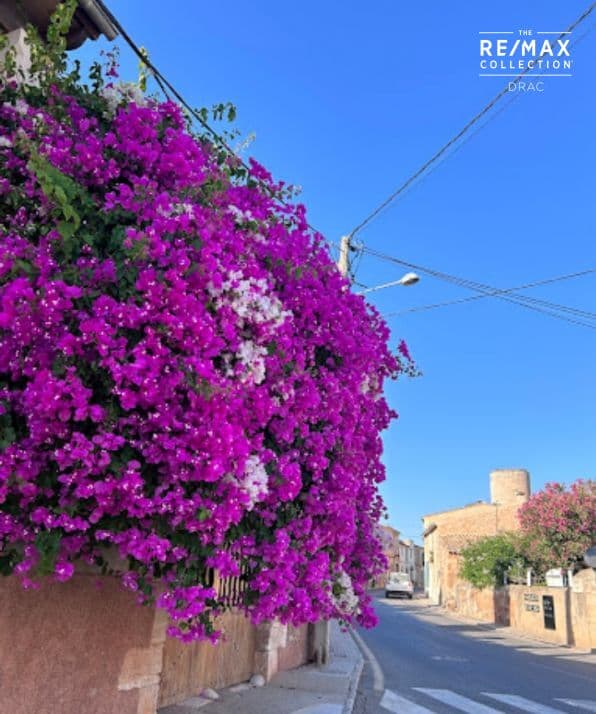 Gran solar urbano en zona tranquila Es Llombards – foto 3