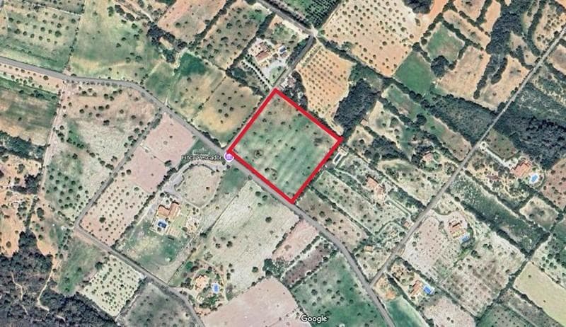 Exklusives Grundstück in den Hügeln von S’Alqueria Blanc