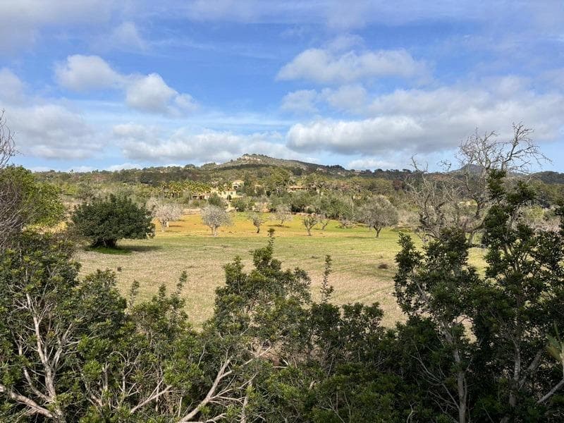 Terreno Exclusivo en las Colinas de S’Alqueria Blanca, Santanyí – foto 2
