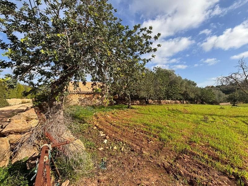 Terreno Exclusivo en las Colinas de S’Alqueria Blanca, Santanyí – foto 3