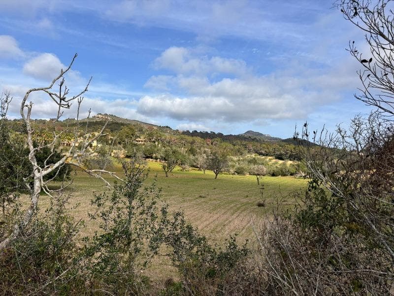 Terreno Exclusivo en las Colinas de S’Alqueria Blanca, Santanyí – foto 4