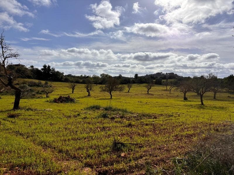 Terreno Exclusivo en las Colinas de S’Alqueria Blanca, Santanyí – foto 5