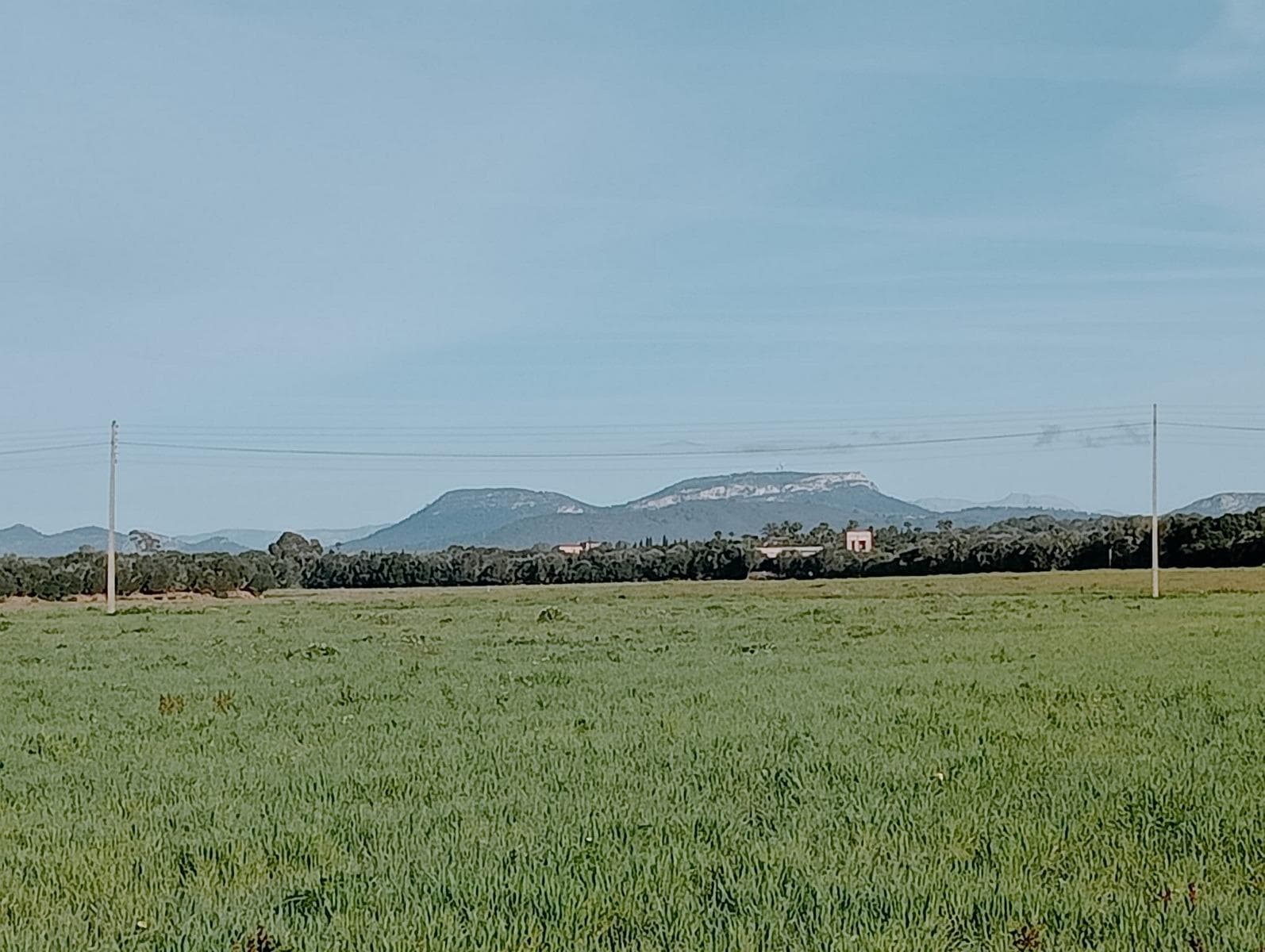 Exclusivo terreno con proyecto de Villa de lujo en Campos, cerca de Es Trenc – foto 2