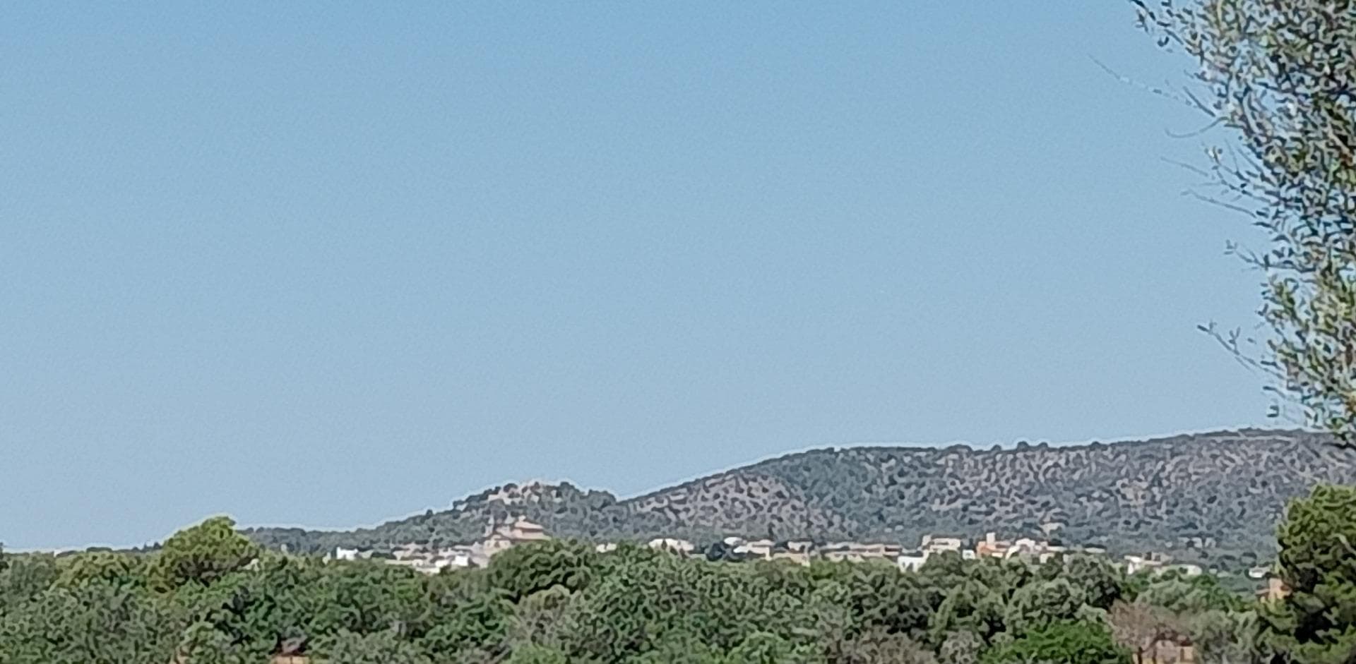 Opportunité Unique : Terrain avec Projet à S'Alqueria Blanca – foto 2