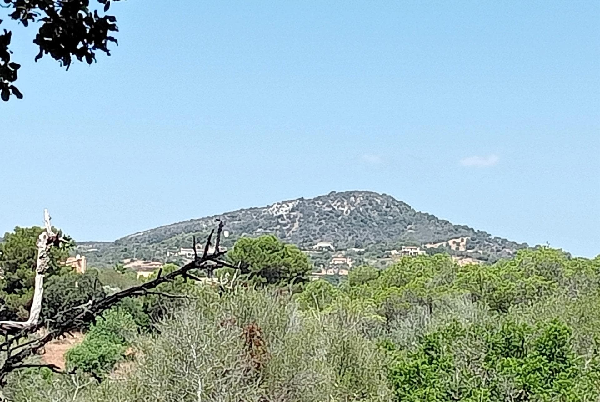 Opportunité Unique : Terrain avec Projet à S'Alqueria Blanca – foto 3