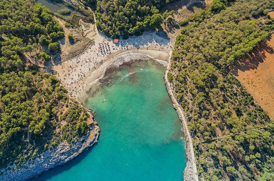 Grundstück mit genehmigtem Einfamilienhausprojekt in Cap des Moro bei S'Amarador – foto 5