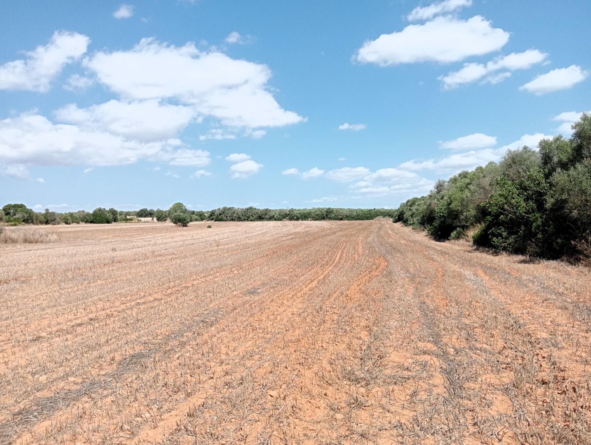 Charmantes Landgut mit Potenzial in Campos – foto 2