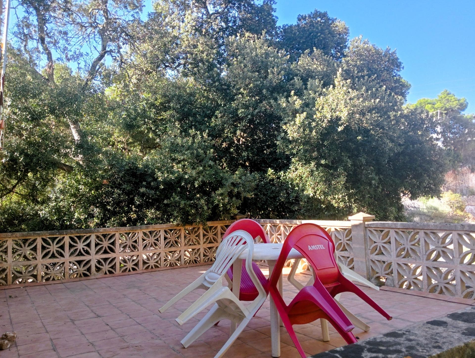 Un lienzo en blanco con potencial: Casa con estudio independiente para renovar en parcela rústica – foto 2