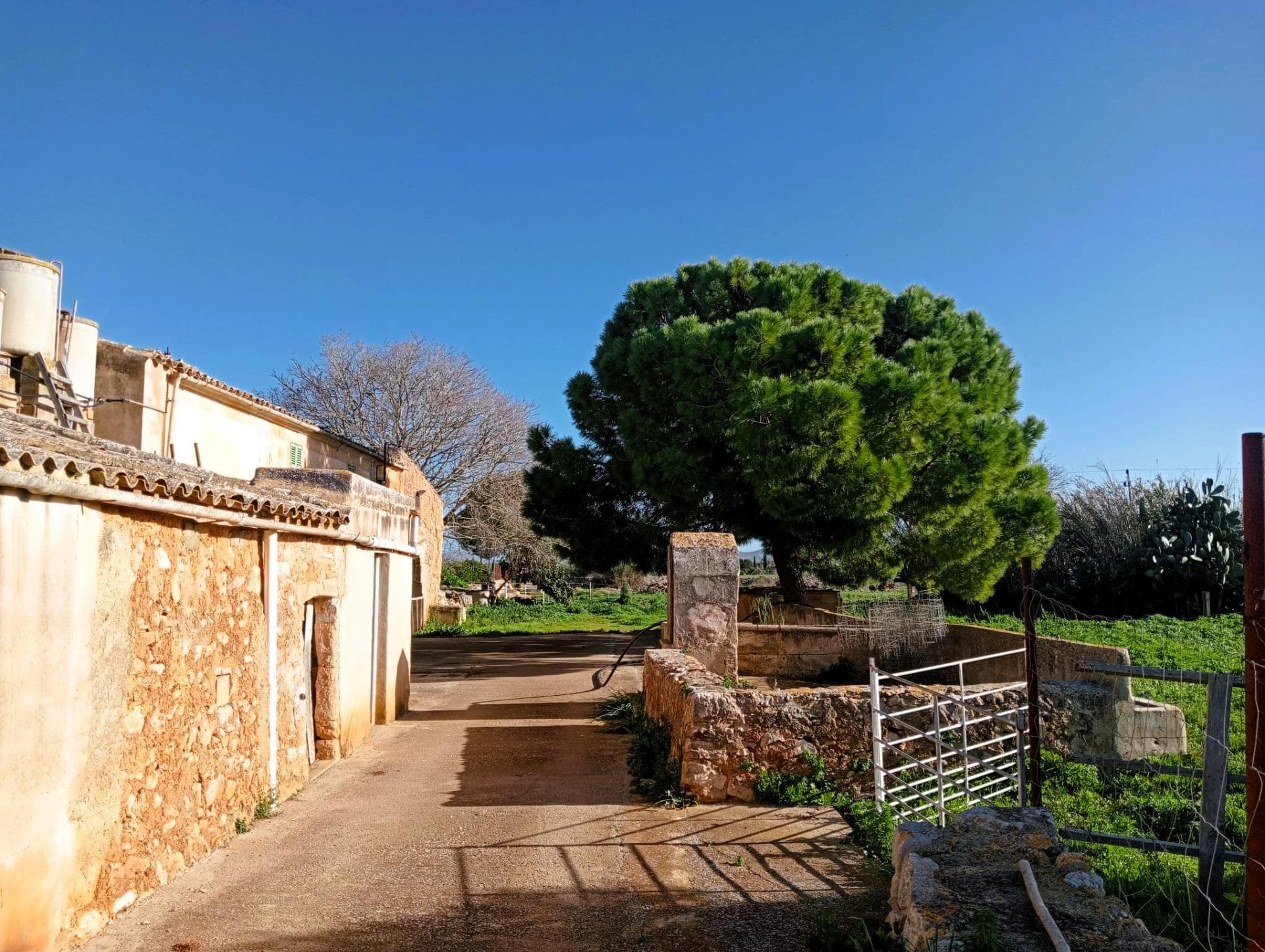Auténtica Finca Mallorquina en Son Valls: Un Lienzo Histórico con Vistas a San Salvador – foto 4