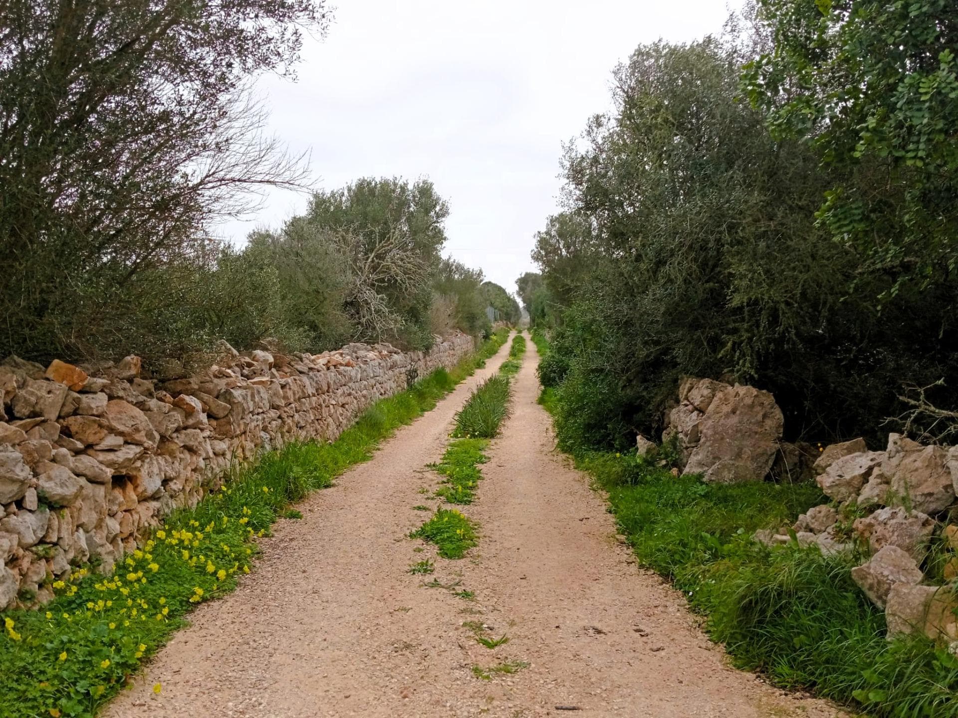 Proyecto de Lujo en Santanyí: Finca de 18500 m2 con Licencia, Suministros y Esencia Mallorquina – foto 2